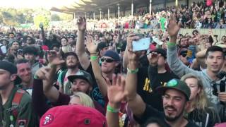 IRATION ~ Falling live Cali Roots 8 2017