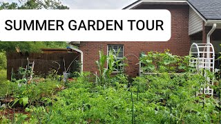 Summer garden tour - Vegetables growing in my small backyard