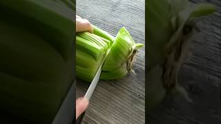 #اكسبلور #tajine #food#celery #growingكرافس#shortsviral #shorts #shortvideo