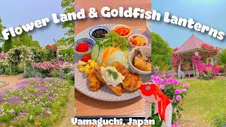 Yamaguchi Flower Land and Goldfish Lanterns in Yamaguchi, Japan | Yanai | Travel | JAPAN Vlog