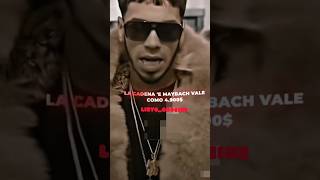 Real hasta la muerte 👹 Nunca Sapo “ Anuel AA / Liryc_Codeine