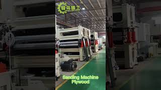 Choose our sanding machine for the best plywood production results｜Hummingbird Machinery