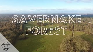 DJI Phantom 4 - Savernake Forest