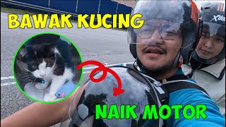 First time kucing naik motor, apa sudah jadi Komeng ?