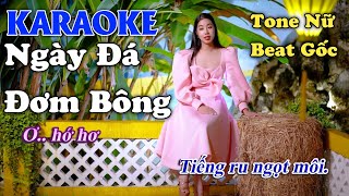 KARAOKE Ngày Đá Đơm Bông tone nữ beat gốc Thuý Phượng Bolero