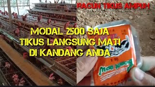 Racun tikus untuk membunuh tikus di kandang ayam petelur