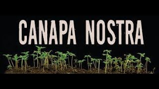 DOC - CANAPA NOSTRA