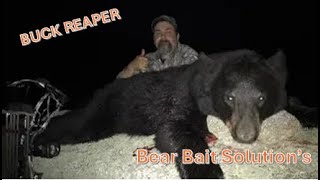 Bear Bait Solutions at work ! - Buck Reaper