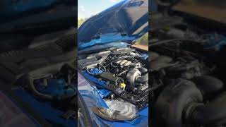 Wrecked 2018 Mustang GT ProCharger Fixed #mustanggt #ford #shorts