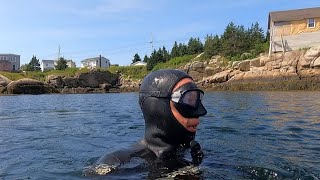 Snorkeling and Freediving in Nova Scotia