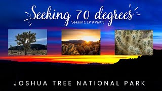 Desert Wonders: Our Unforgettable Visit to Joshua Tree National Park - Palm Springs Part 3