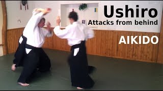 Aikido techniques on attacks from behind, USHIRO, by Stefan Stenudd in 2012