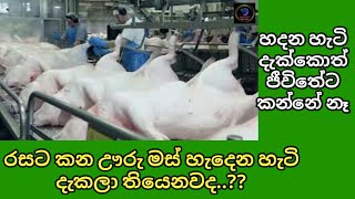 රස කර කර කන ඌරු මස් හැදෙන හැටි-Incredible modern pork processing factory technology 🐷🐷🐖🐖🍖🥩🥩