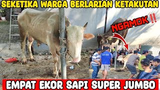 seketika warga panik‼️berlarian melihat sapi jumbo datang di masjid al arif