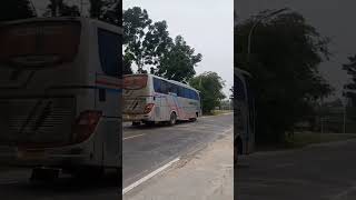 Bus Pariwisata #shorts #ayonaikbus