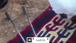 قصيدة| من رافق الطيب شرب صافي المي...Ford5754