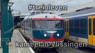 #treinleven *UNIEK* Kameel in Vlissingen Zeeland privé rit Vlissingen-Utrecht Maliebaan