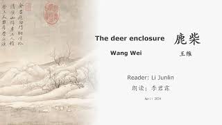 真人 童声朗读 汉英双语 鹿柴  王维 The deer enclosure