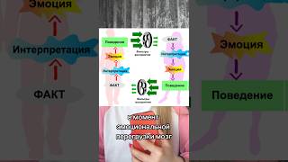 Как ты ведешь себя в конфликтных ситуациях? #конфликт #взаимопонимание #эмоции