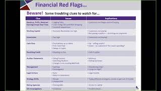 Financial Red Flags and D&O Speaker Video