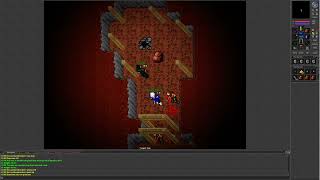 Tibia 7.4 (Level 35 Mage with friends hunting Demons)