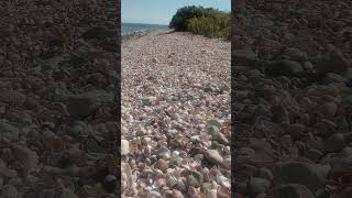 Beach Made Of Sea Shells!!!!!