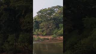 KUKKE SUBRAHMANYA - KUMARADHARA RIVER. ಕುಮಾರಧಾರ ನದಿ