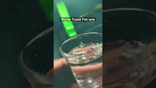 Worlds Tiniest fish Tank | Neon Tettra | Shot glass fish tank.