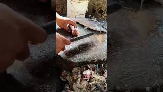 Amazing singara fish_ cutting in dawdi fish market by Ms fish Mahesh Shop#shorts #short #share#fish