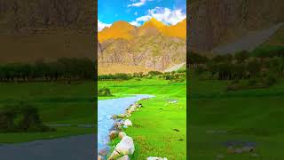 Beautiful Valley#shorts #youtubeshorts #viral #viralvideo