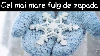 Cel mai mare fulg de zăpadă! | Fapte la întâmplare #16