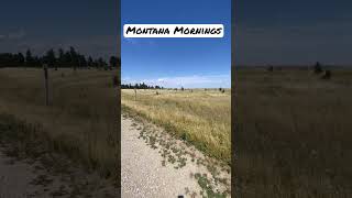 Montana