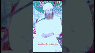 Mufti Abdurrahaman Sahab Naqshbandi | Ustaz Madarsa Shahi Moradabad | Najayez Relationship | #shorts