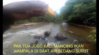 PAK TUA JOGO KALI MANCING IKAN HAMPALA DI SAAT AIR SEDANG SURUT