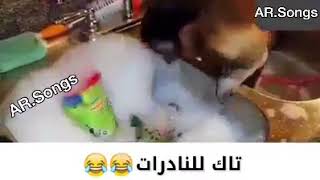 تاك الصديقتج الي تغسل مضبوط ههههه