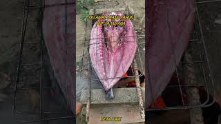 Enak Bakar ikan saat acara ulang tahun #ikanbakar #ikanbakarenak #kulinernusantara