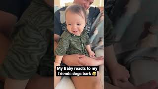 My baby reacts to meeting a dog for the first time .. #dog #babies #dogshorts #shorts