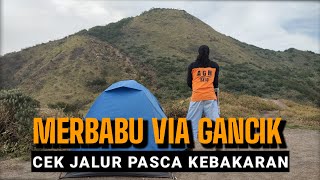 MERBABU VIA GANCIK || Cek Jalur Pasca Kebakaran @lonewolfindonesia