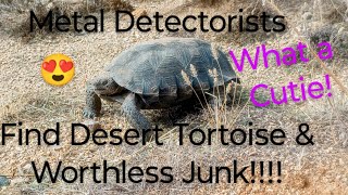 Metal Detectorists blessed by a Tortoise!