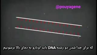 Basic of PCR