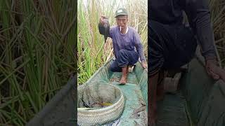 pasang bubu jebak ikan buatan sendiri mantap