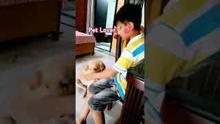 Pet Lover🐕💕 #care #bonding #cute #shorts