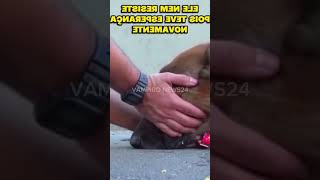 Ele encontrou um cachorrinho abandonado e levou para sua casa#shorts