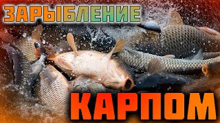 Запуск КАРПА! ТУЗИКИ в деле!