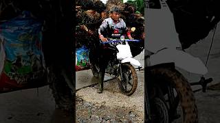 Joki gemetar bawa muatan sawit 500+ #motorsawit #motorlangsirsawit #shorts