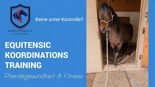 Beinkontrolle wirklich unter Kontrolle? EquiTensic Koordinationstraining  mit Martina Klünsner