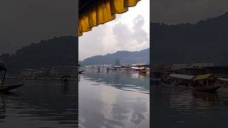 My shikara ride #visit #kashmir #dallake #srinagar #2023 #shorts