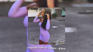 mega pro baile do cokeiro - speed up