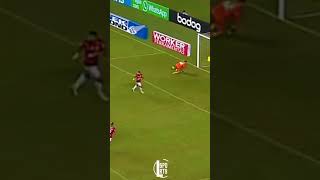 GABIGOL STATUS FLAMENGO (lomotifeSports)