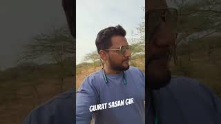 #Gujrat #sasangir ##trending #viralreels #travelvlog #jungle #sasangirwildlife #bikelover